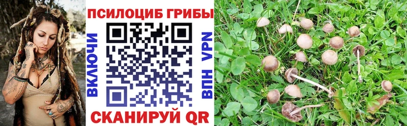 Псилоцибиновые грибы Magic Shrooms  что такое наркотик  Тара 