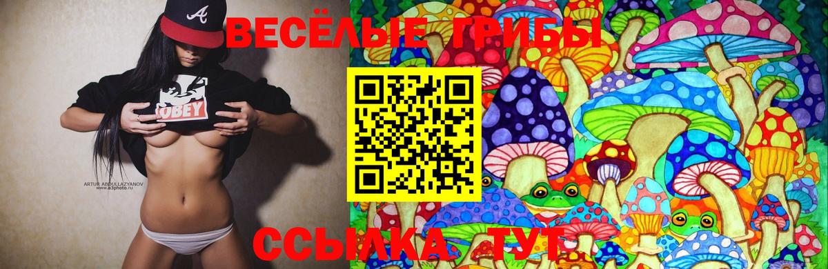 Псилоцибиновые грибы Cubensis  Вход с VPN  Тара  Галлюциногенные грибы мухоморы 