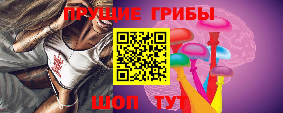 Псилоцибиновые грибы ЛСД Тара