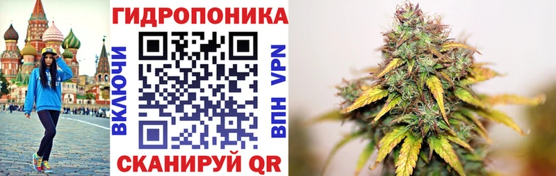 купить наркотики сайты  Тара  ОМГ ОМГ как зайти  Каннабис Ganja 